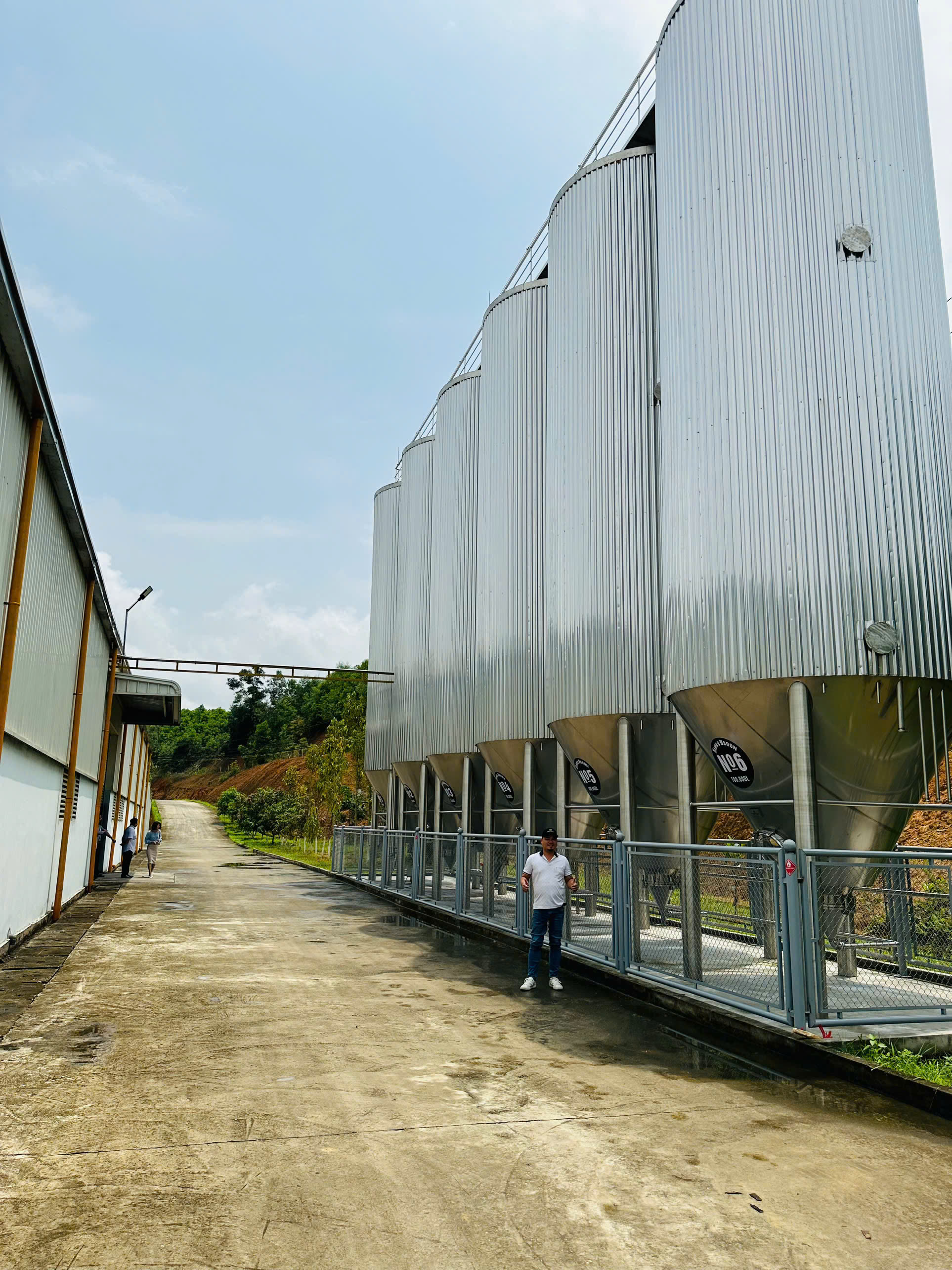 Dàn silo lớn dựng ngoài trời dọc theo xưởng