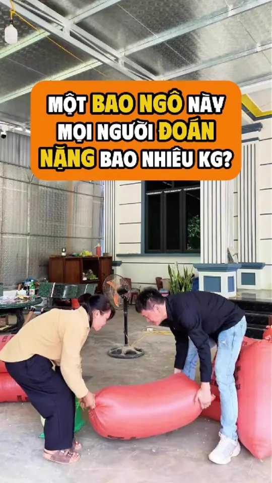 Ảnh bìa video: Cân ngô tận nhà cho bà con, bao nào cũng 66 đến 72 kg