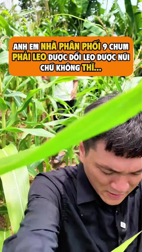 Ảnh bìa video: Nông sản Việt sang Đài Loan khó thế nào: tiêu chuẩn dài hai trang A4